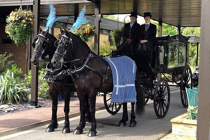 Funeral Horses Carriage 6