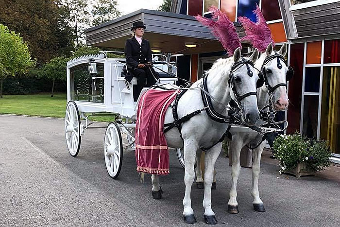Funeral Horses Carriage Carriage 1