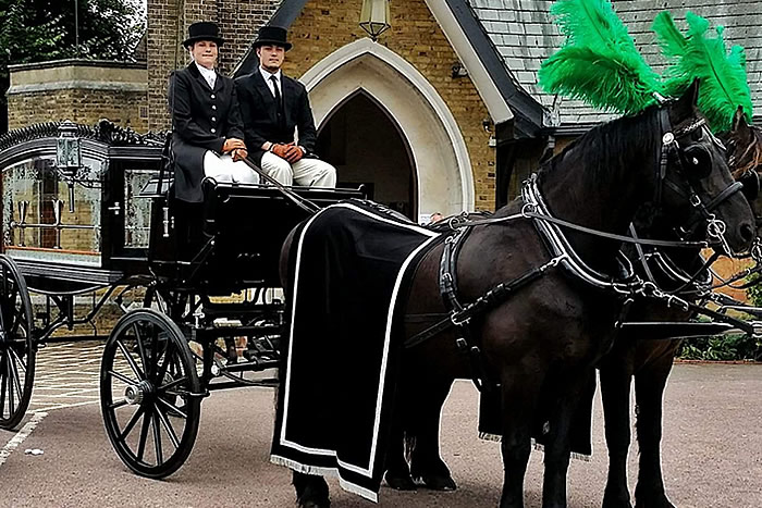 Funeral Horses Carriage 2