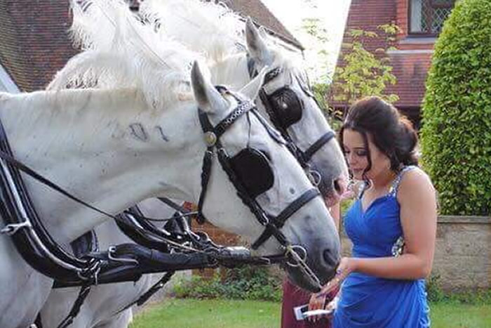 Prom Carriages